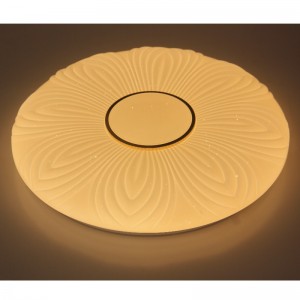 CX204 Taklampa