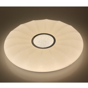 CX205 Taklampa