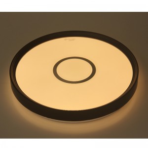 CX231 Taklampa