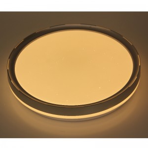 CX236 Taklampa